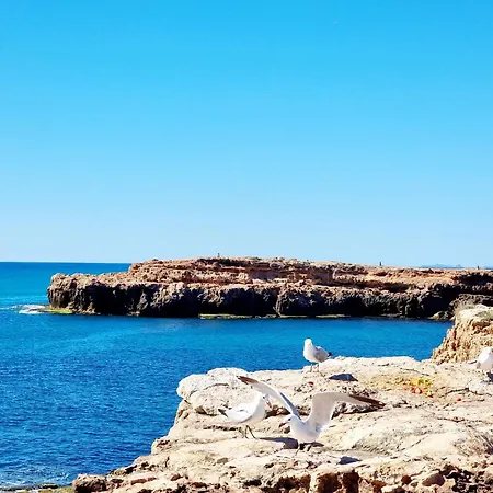 Lagoons Premium Appartamento Alicante